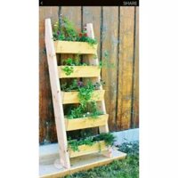 Mua Kệ trồng HOA VÀ RAU SẠCH 5 tầng Chính Hãng Giá Tốt