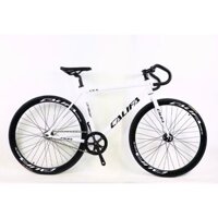 [MUA TẠI LIVE] Xe đạp Fixed Gear khung nhôm CALIFA CX8 (Tặngđèn+chắnbùn+giánước+lụcgiác) CX-8 CX - 8