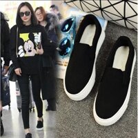 Mùa Xuân Đế Dày Giày Vải Nữ Phù Hợp Với Giày Trắng Giày Lười Giày Slip-On Phiên Bản Hàn Quốc Giày Vải Sinh Viên