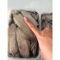 Mực đông lạnh Phan Thiết hộp 500g 10-12con