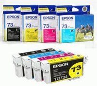 Mực Epson 73N