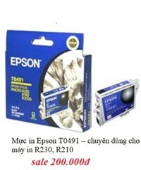 Mực in Epson T0491