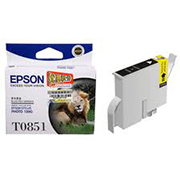 Mực in Epson T122100