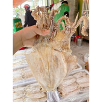 Mực Khô Cô Tô 6-12 con/kg