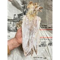 Mực Khô loại To 1kg (TẶNG CÁ CHỈ VÀNG) Quảng Ninh, cực ngon, size từ 12-13 con trên 1kg
