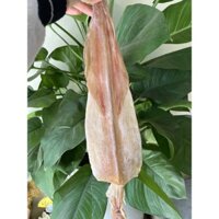 Mực khô VIP Cô Tô