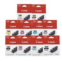 Mực máy in Canon PFI-300 C, CO, GY, M, MBK, PBK, PC, M, R, Y (Dùng Cho Máy In imagePROGRAF PRO-300)