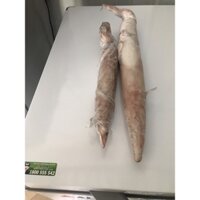 Mực ống loại 1 Phan Thiết, Mực ống Phan Thiết, Mực đông lạnh 2con/kg