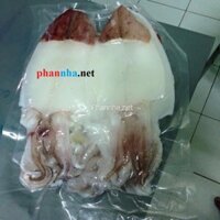 Mực ống một nắng Nha Trang - 1Kg