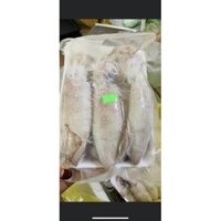 Mực ống size 12-14(1kg)