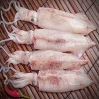 MỰC ỐNG TƯƠI (310G)