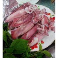 Mực ống tươi ❤️ GIÒN NGON❤️  xào , hấp , thả lẩu