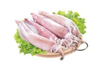 Mực ống tươi loại nhỏ (100% không tẩy)