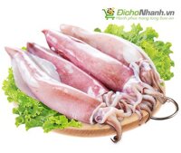 Mực ống tươi lớn (100% không tẩy)