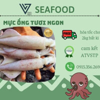 Mực ống tươi ngon 1kg 2khay đảm bảo ATVSTP{Free ship 2kg bất kì- hỏa tốc Hà Nội}
