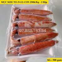 Mực Ống Tươi Ngon Giòn Ngọt Loại to 9 đến 12 Con Kg