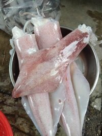 Mục ống tuoi tại ghe