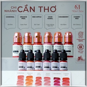 Mực phun xăm Perma Blend