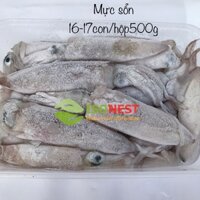 Mực Tươi Đông Lạnh Loại Sổn - Phan Thiết - 500g