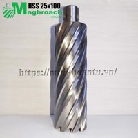 Mũi khoan từ HSS 25x100