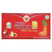MULTI VITAMIN B WITH GINSENG
