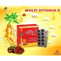 MULTIVITAMIN B WITH GINSENG PLUS