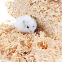 Mùn cưa lót chuồng cho thú cưng nhỏ - Natural Wood,Woodchips - 1KG