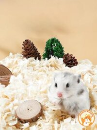 Mùn cưa lót lồng cho chuột hamster