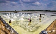 Muối công nghiệp NaCl