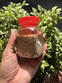 Muối tiêu lốp 100gr