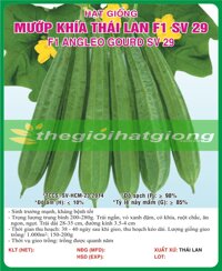 MƯỚP KHÍA THÁI LAN F1 SV 29 - 10 HẠT