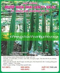 MƯỚP KHÍA THÁI LAN F1 SV 41 - 10 HẠT