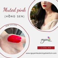 MUTED PINK (HỒNG SEN)