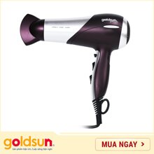 Máy sấy tóc Ionic Goldsun Premium GPH81-I