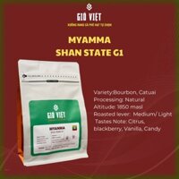 Myanma Ywangan Shan State G1- Natural- Candy, Citrus, Blackberry- 250gr Gioviet Coffee Roaster