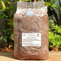 MycoBOX - Phôi Nấm Rơm ~ 2kg