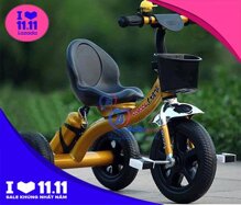 Xe ba bánh kèm bình nước và giỏ xe XD300