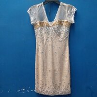 N015. Áo đầm đính đá dự tiệc. Phom 40_45kg