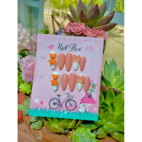 nail box combo 3bộ 100k