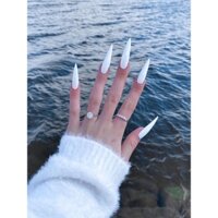 NAIL BOX GEL SƠN TRƠN