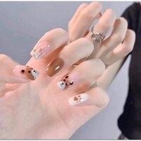 nail box - móng úp gấu xinh