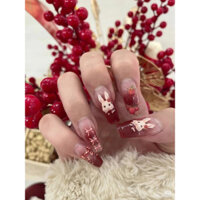 Nailbox 10 móng mẫu thỏ sơn thạch đỏ vang
