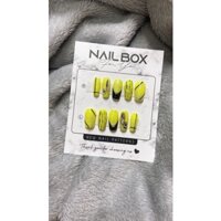 Nailbox dạ quang