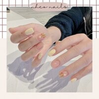NAILBOX - design Hàn Quốc | móng úp sơn gel thiết kế theo yêu cầu