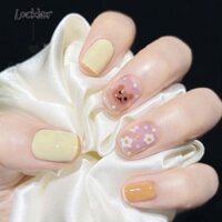 •Nailbox• Móng up gấu nổi