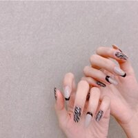 NAILBOX ngựa vằn