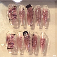 Nailbox Thiết Kế Douyin Đỏ rượu Phong cách cổ trang