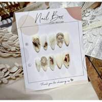 nailbox thiết kế mẫu mới
