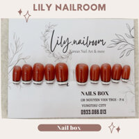 Nailbox thiết kế thủ công Lily Nailroom Màu Nâu Thạch Vẽ Họa Tiết cao cấp, sẵn mẫu, tái sử dụng được.