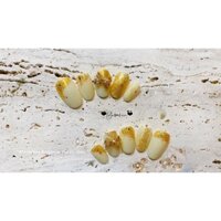 Nails box thiết kế mẫu 11